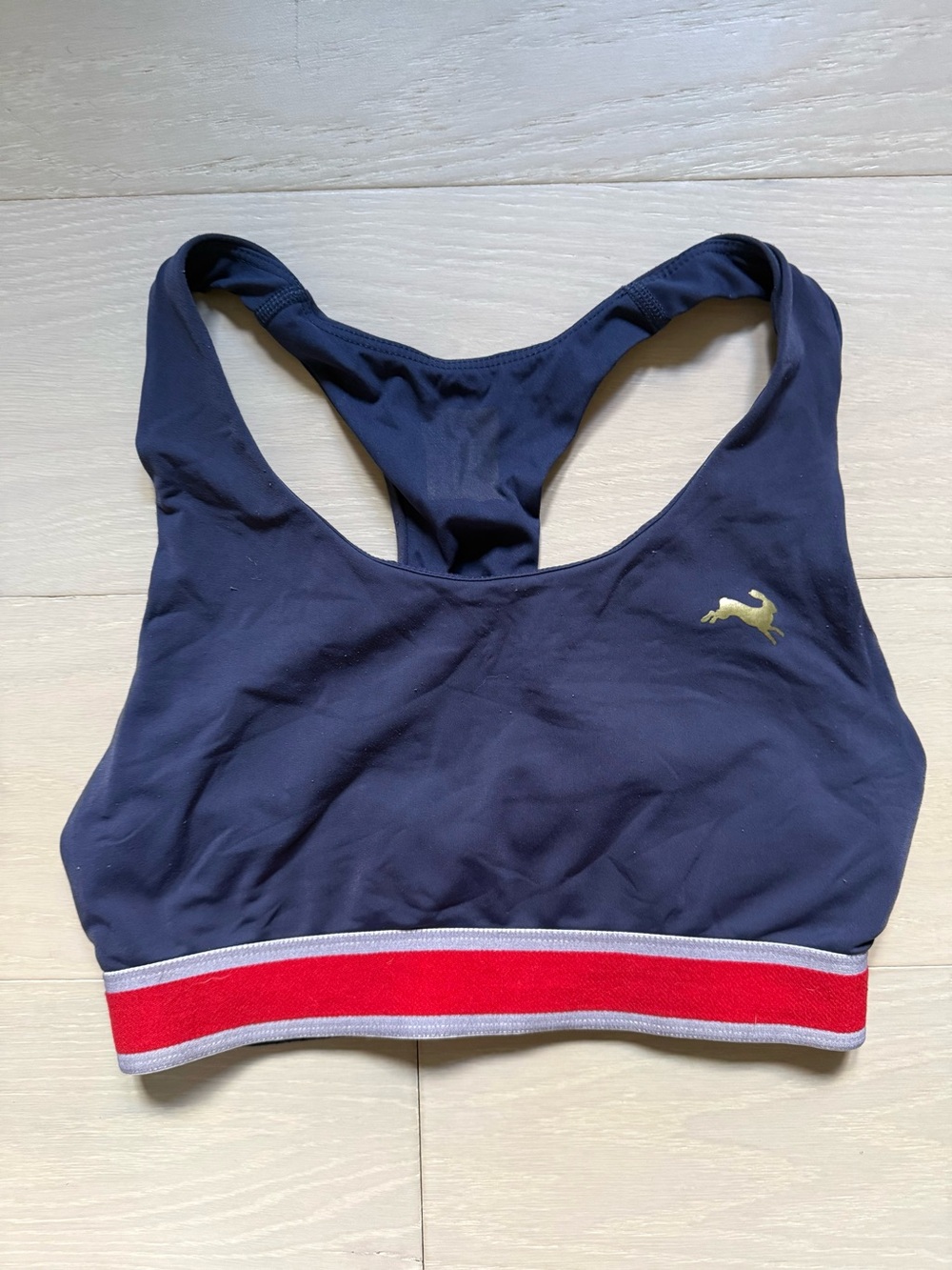 Tracksmith Run Sports Bra